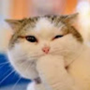 Meet your Posher, Raquel